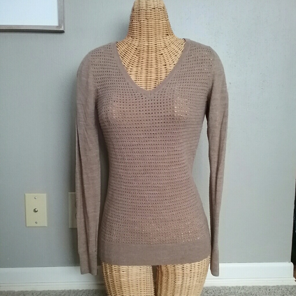 Tan The Limited Sweater